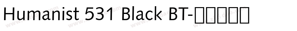 Humanist 531 Black BT字体转换